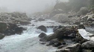 Capture – 2023-08-17T163409.734