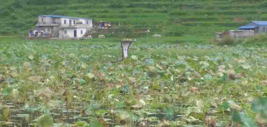 Capture – 2023-08-21T163655.076