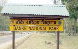 banke rastriya nikunja