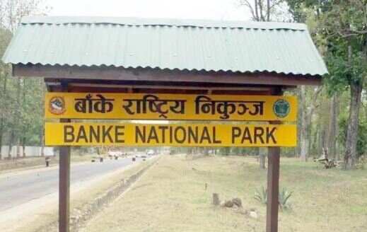banke rastriya nikunja