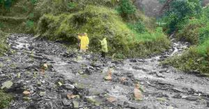 fikre khole (1)