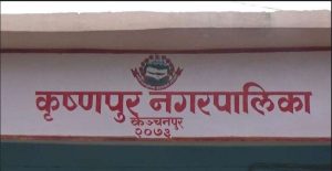 krihna palika