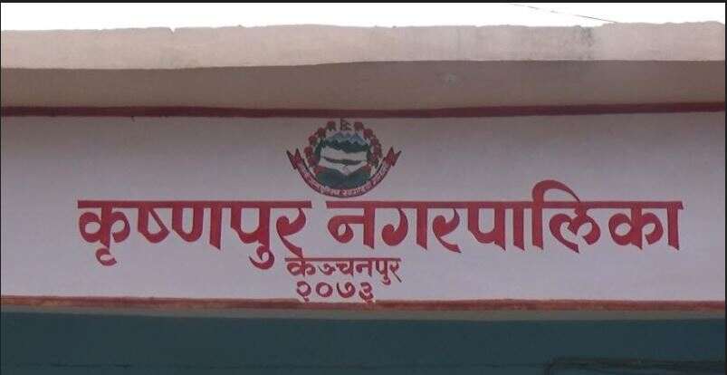 krihna palika