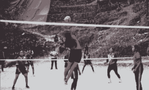 volleyball (1)