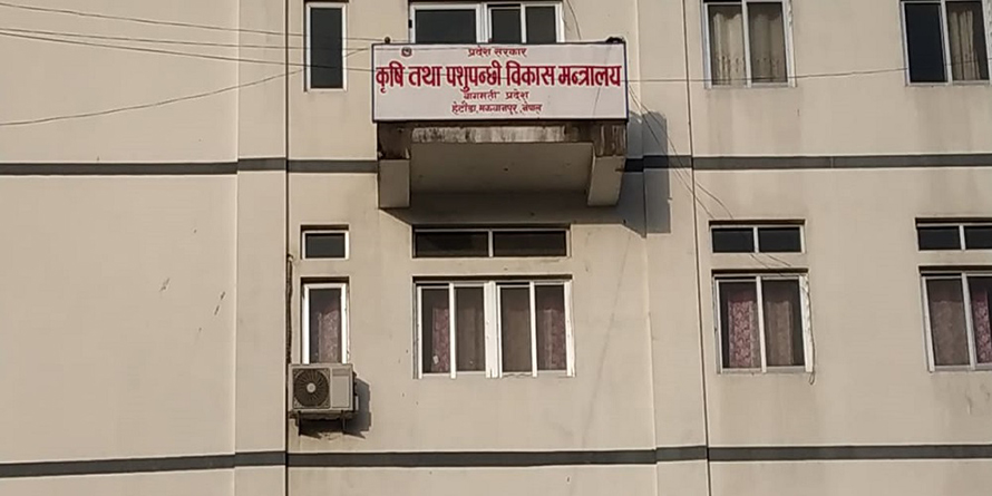 krishi-Shit-bhandari