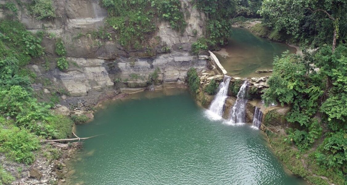 pani 6