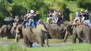 Elaphant-safari-Sauraha