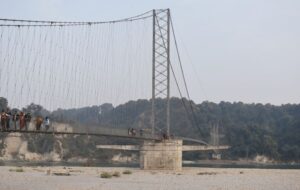 bridgeee
