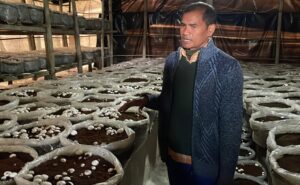 Screenshot 2025-01-15 132239