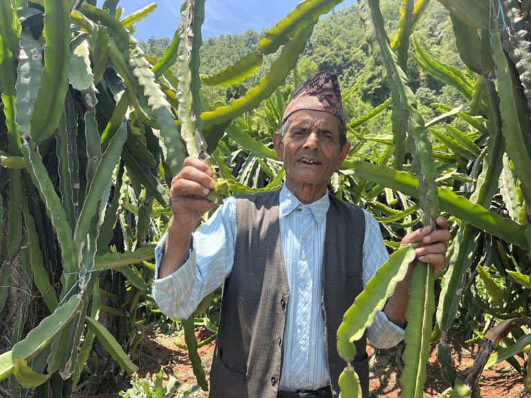 IMG_1477-scaled-1-768×576