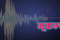 Earthquake vector frequency wave graph, seismic activity