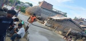 Untitled-1-scaled-e1751937353319