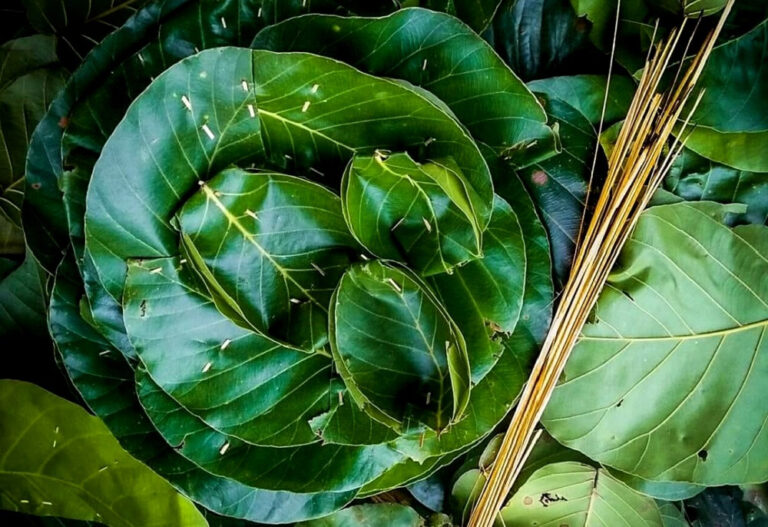 1682235674-ah0OK-768×527