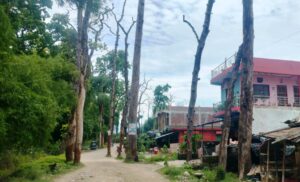 798d3549-41c1-4a70-a87a-318cd610bb63