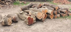 IMG20220823090533-scaled