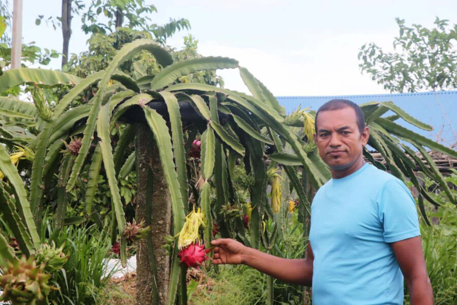 News Pic Cap 4 Bhadra Jhapa Agri 1