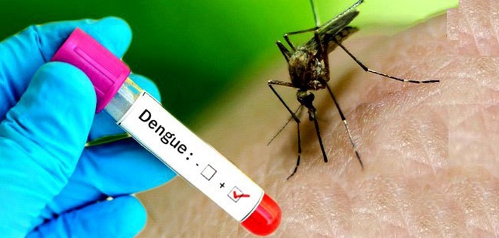 dengue (1)