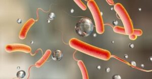 haija-e1656508701678