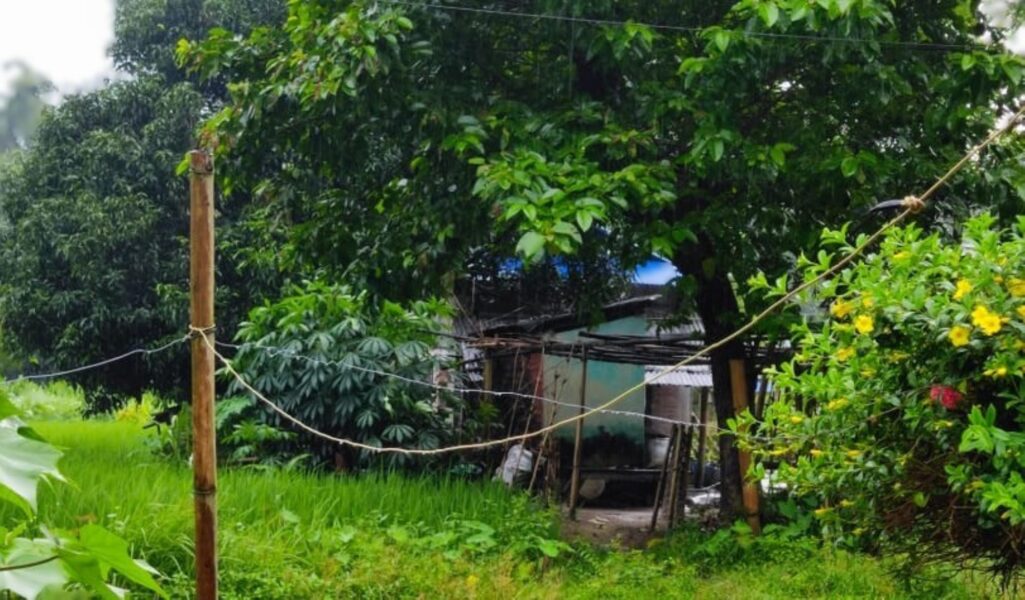 mechinagar wire electicity (1)