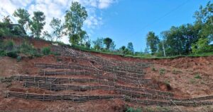 pahiro2-1752471483_yO2XGCqlpq