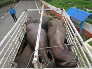 vaisi_-ff_0OckwVII1h_EfrOAAgDWj_pmbymi3m7d75jmvat17jzbj1h2tdpybs37ne6n9nuaofzbceppqhxwhptj16_ZyzkV9lPes_xbp1ozi5hcklvytuowonxcb1yfr3p1wwkuj8q9hhv6qsewurbmy2bam5dbgh