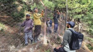 मुस्ताङको चिमाङमा हिमाली कालो भालुको आंतकले किसानलाई सास्ती