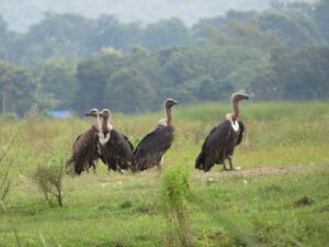 0b802d3c-6614-40b4-b57f-d16d3101a938