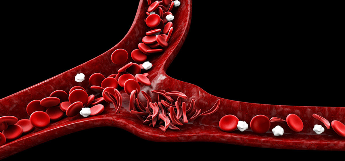 1748227757_sikalsel-1200×560