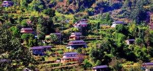 1758158289_Khali Gau-1200×560