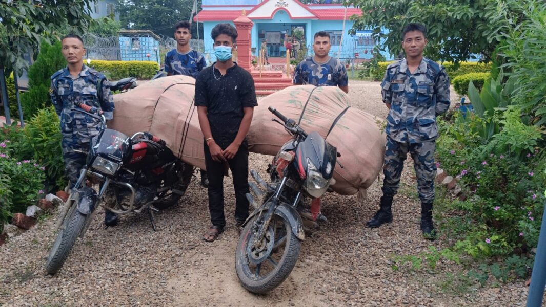 18039c0e-7de7-4e89-8f00-12448a5c40c4