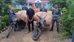 18039c0e-7de7-4e89-8f00-12448a5c40c4