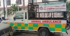 Animal ambulance