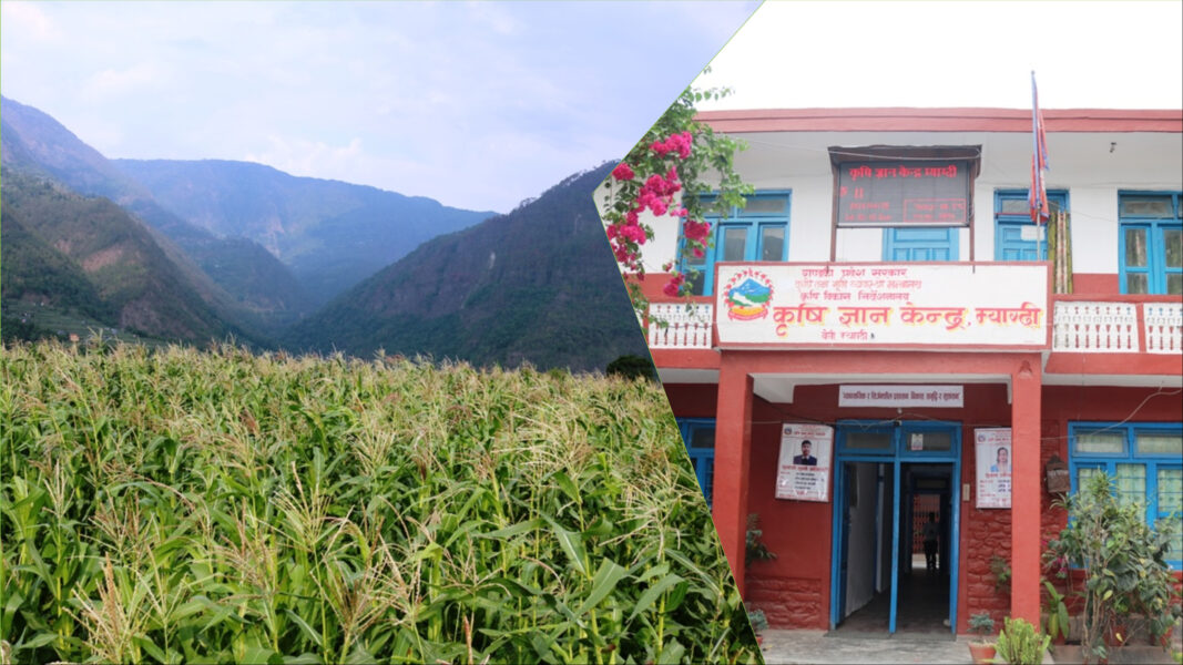 MixCollage-11-Jun-2024-10-11-AM-3098