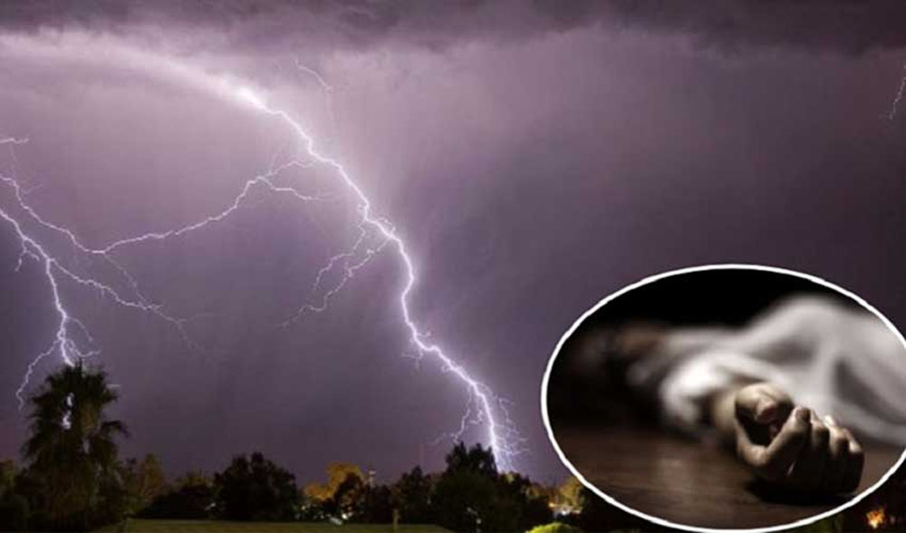 chatyan.2024-07-11-07-07-20.2025-09-08-10-09-51