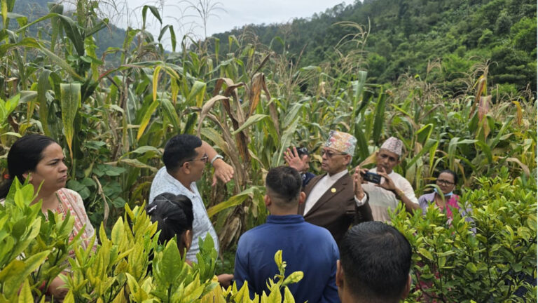 karnali-minister-bali-kheti-1756646787-768×432