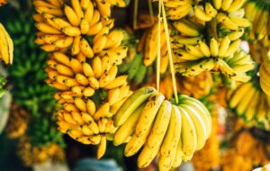 CREATOR: gd-jpeg v1.0 (using IJG JPEG v62), quality = 82