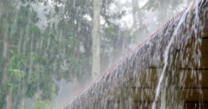 rain2024-10-02-03-12-23