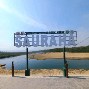 sauraha