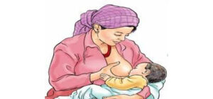 1760586492_1744174054_did lok 48-1200×560-1200×560