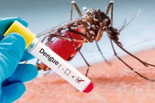 202007121154086913_Dengue-prevention-efforts-stifled-by-coronavirus-pandemic_SECVPF
