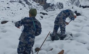 233d8674-d683-4e06-babf-423f84cc4686_z68fkfVQkZ-e1761802991852