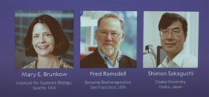 NObel_price-for-medicine-1024×476