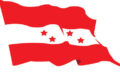 Nepali-Congress-flag-768×481