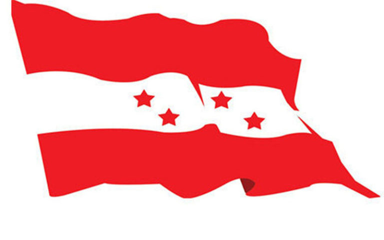 Nepali-Congress-flag-768×481