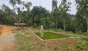 Untitled-8-original-thumb