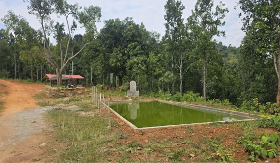 Untitled-8-original-thumb