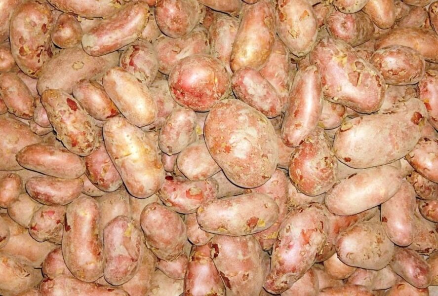 aalu-kanchanpur-1024×693