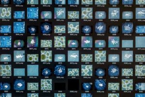 SWITZERLAND-SCIENCE-BRAIN-TECHNOLOGY-RESEARCH