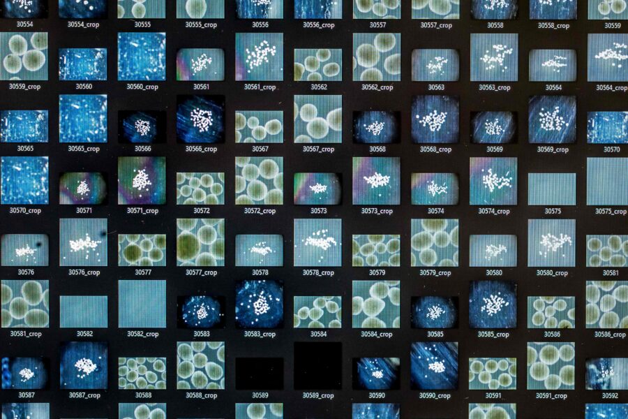 SWITZERLAND-SCIENCE-BRAIN-TECHNOLOGY-RESEARCH