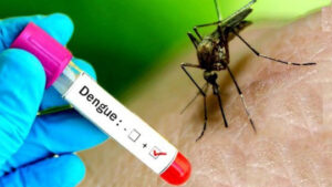dengue_2